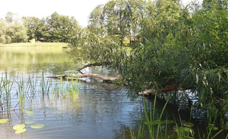 działka na sprzedaż - Ełk (gw)